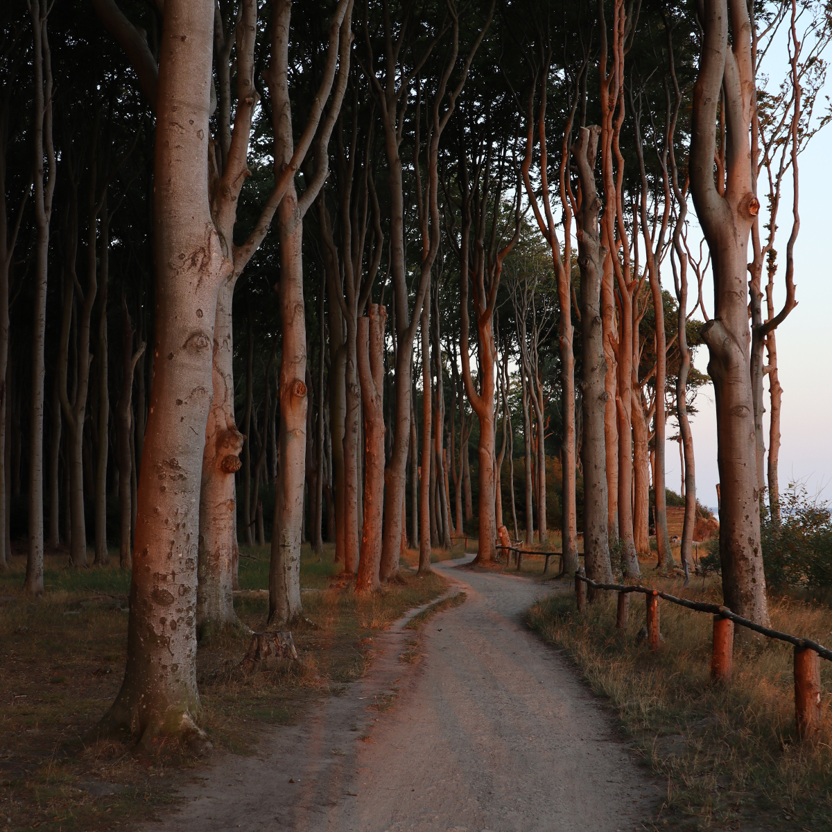 Arbeit an der eigenen Biografie – Workshop für Frauen